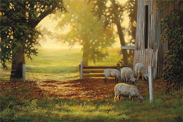 summer-gold-sheep-group-1195728580IG_0d0c9a5a-a209-4597-ba85-b530fdfc3fac.jpg