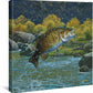 Tail Walking - Smallmouth Bass - 14" x 14" Gallery Wrapped Canvas