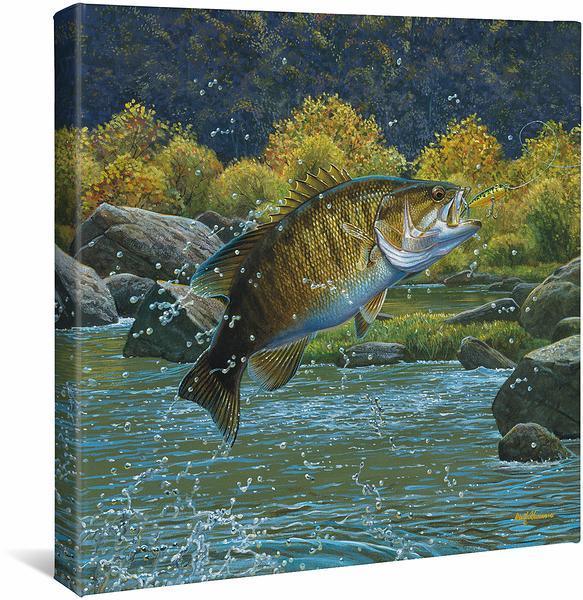 Tail Walking - Smallmouth Bass - 14" x 14" Gallery Wrapped Canvas