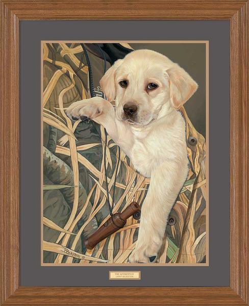 the-apprentice-yellow-lab-gna-premium-framed-print-larry-beckstein-EPR0470856_50fdcd2e-4a99-4053-8838-8477776b9761.jpg