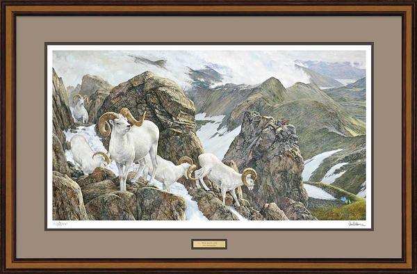 the-high-life-dall-sheep-vangilder-framed-print-F913757070.jpg