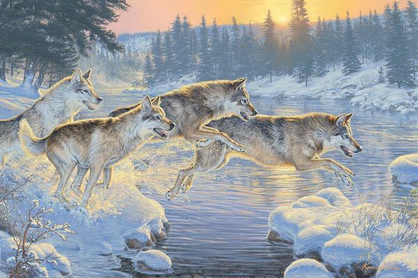 Through the Woods—Wolves - Limited Edition Canvas Limited Edition