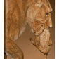 Time Out—Lioness & Cub - 18" x 13" Gallery Wrapped Canvas