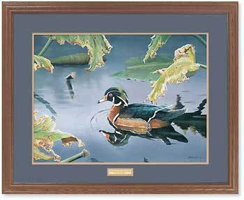 Tranquil Pond - Wood Duck - GNA Premium Print GNA Premium Print Tranquil Pond - Wood Duck - GNA Premium Print GNA Premium Print