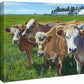 Udder Curiosity—Cows - 11" x 14" Gallery Wrapped Canvas
