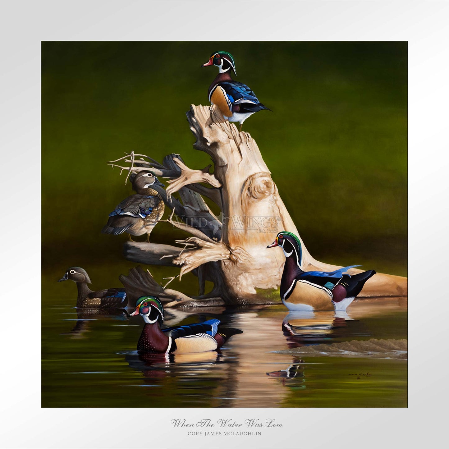 When the Water was Low - Limited Edition Paper