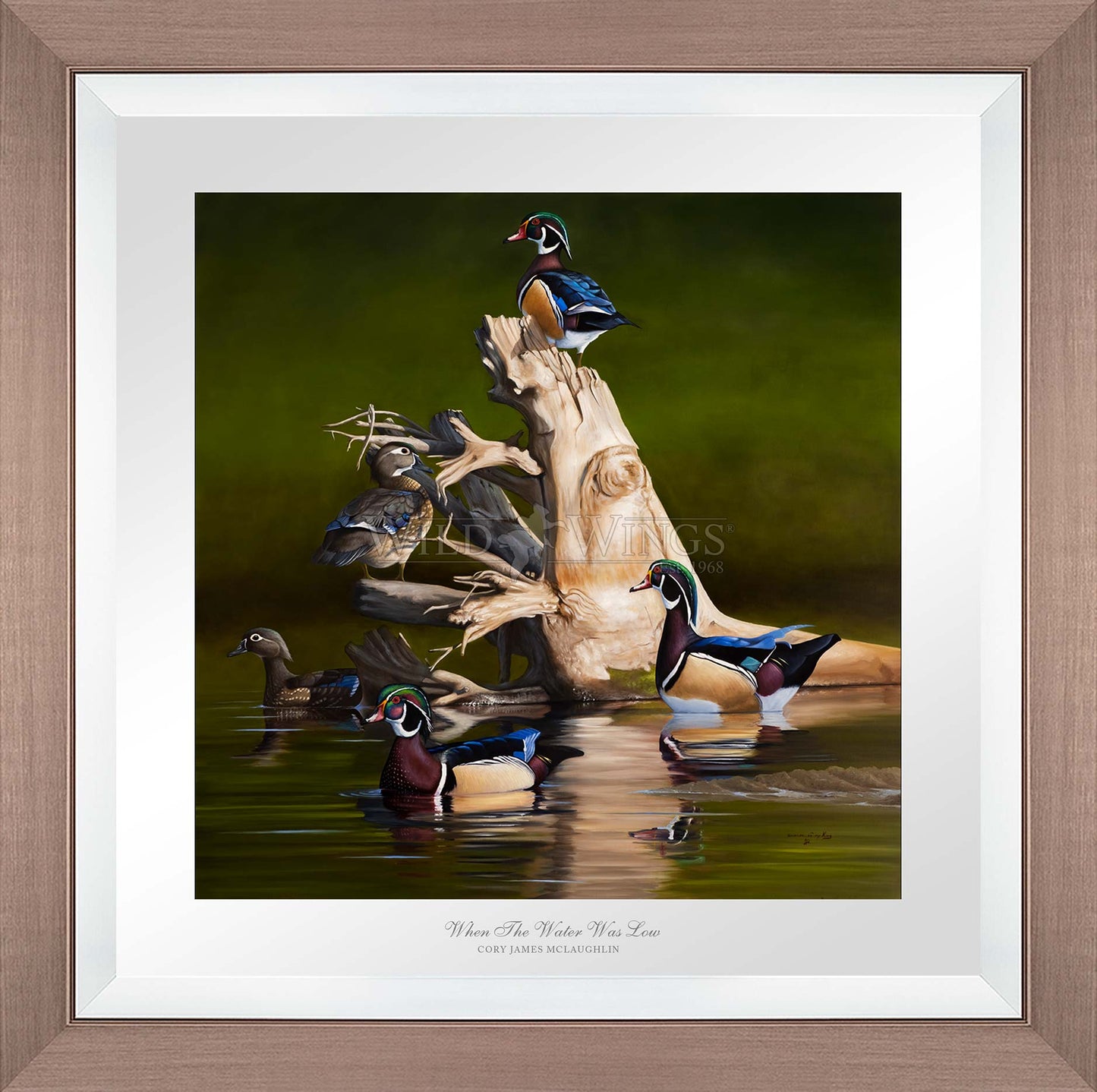 When the Water was Low - Limited Edition Paper