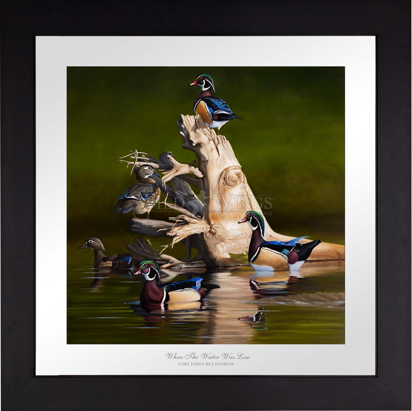When the Water was Low - Limited Edition Paper