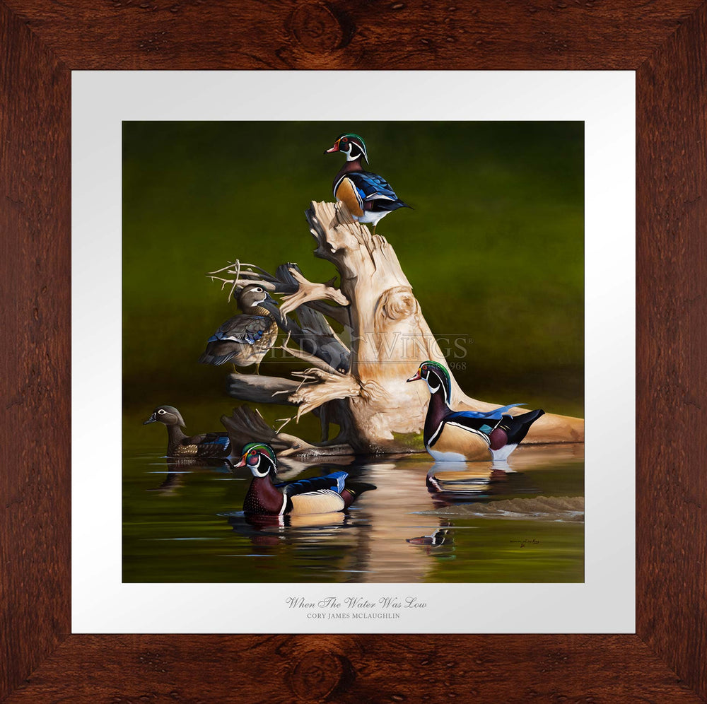 When the Water was Low - Limited Edition Paper