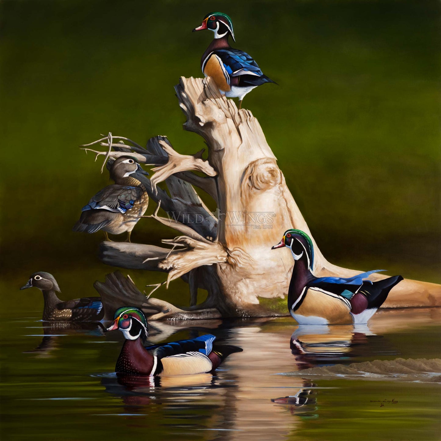 When the Water was Low Limited Edition Canvas - Official Ducks Unlimited Art