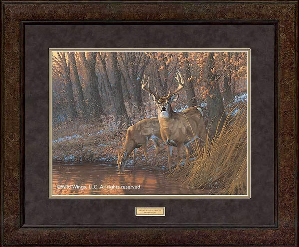 Woodland Waterhole - Deer - GNA Premium Print GNA Premium Print