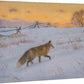 Winter Evening - Fox - 13" x 18" Gallery Wrapped Canvas