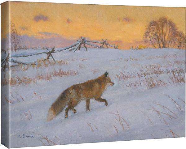 Winter Evening - Fox - 13" x 18" Gallery Wrapped Canvas