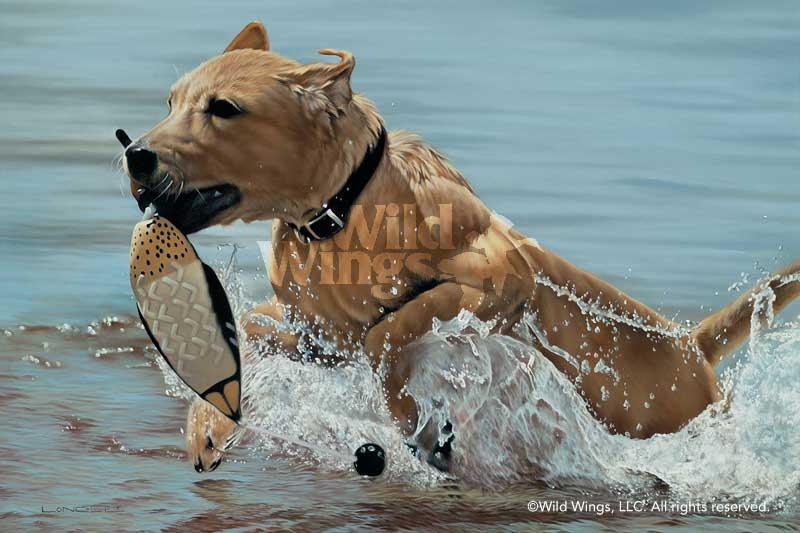 yellow-lab-dog-retrieving-decoy-art-print-splash-by-brett-longley-1521718056d_a426d858-a8a5-4f10-b5b5-9c6047ecbe56.jpg