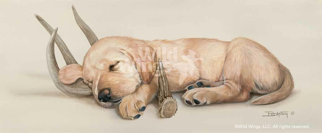 yellow-lab-puppy-art-print-rack-em-up-by-larry-beckstein-1047703056d_78c45383-ad6d-49f0-a7c3-38a251f8ae16.jpg