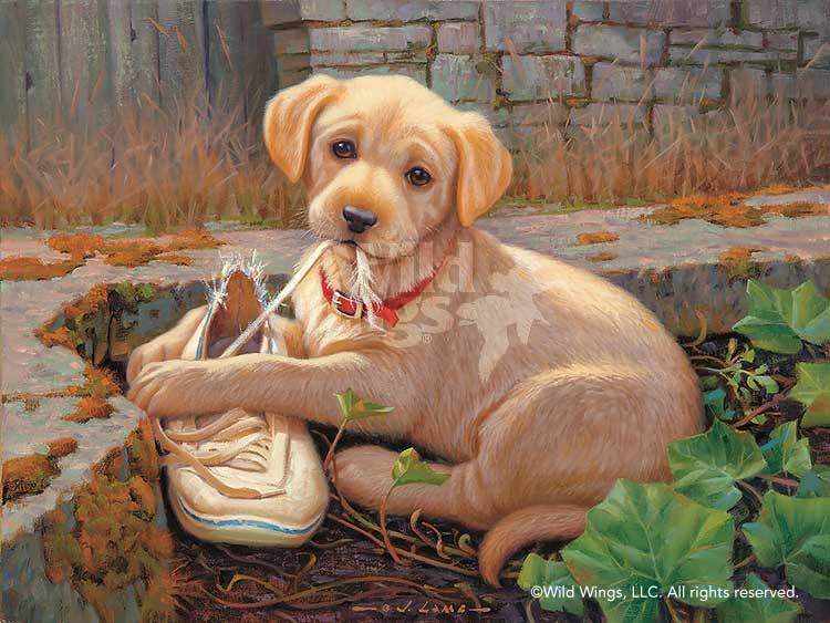 The Missing Shoe - Yellow Lab - Limited Edition Paper Limited