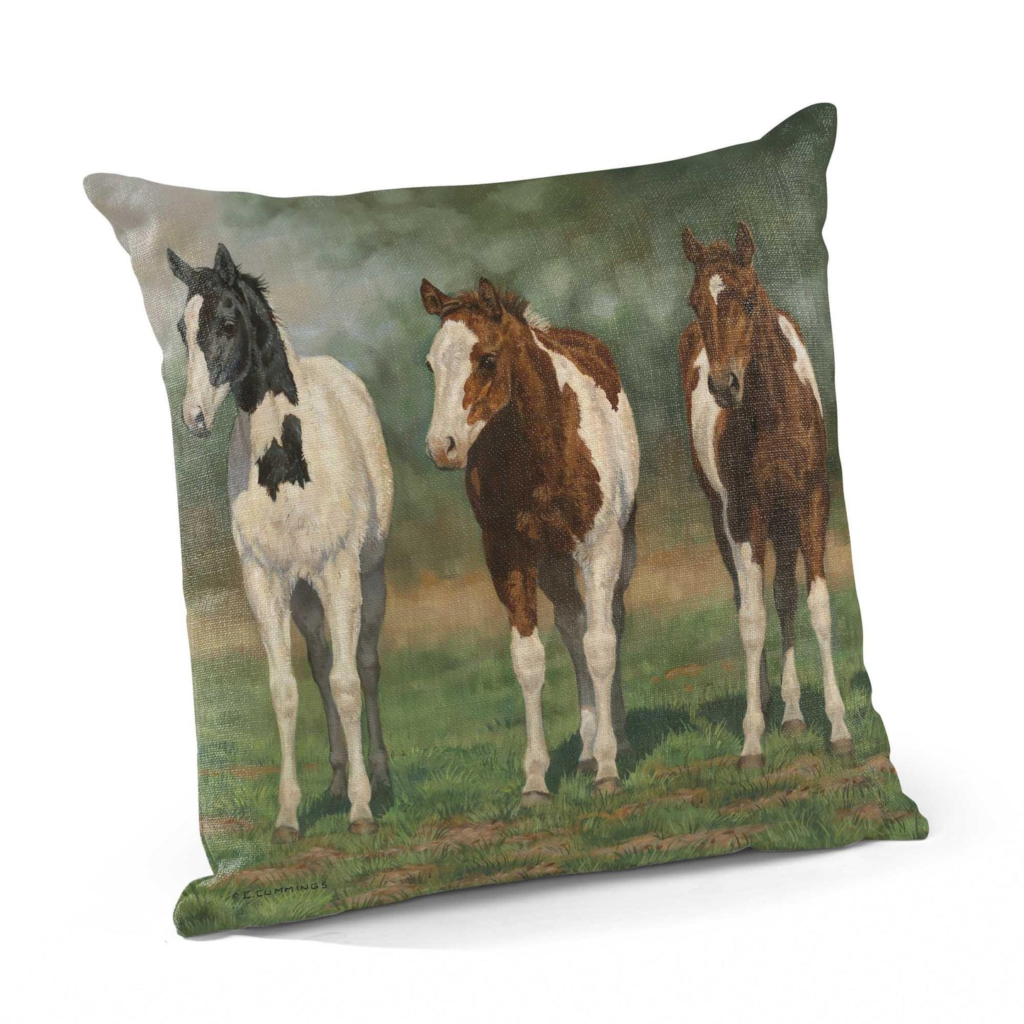 Pint-sized Paints Decorative Pillow - Wild Wings