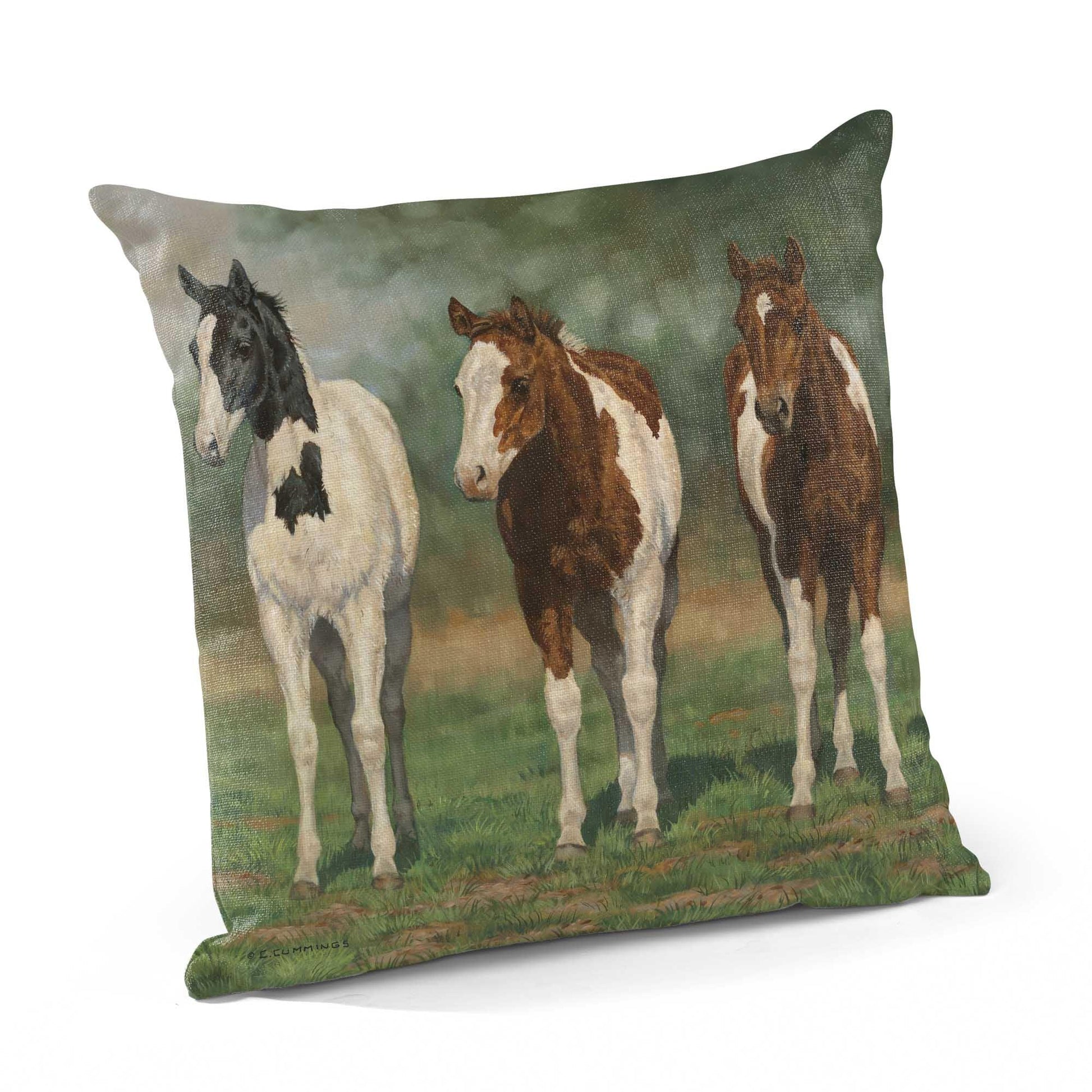 Pint-sized Paints Decorative Pillow - Wild Wings