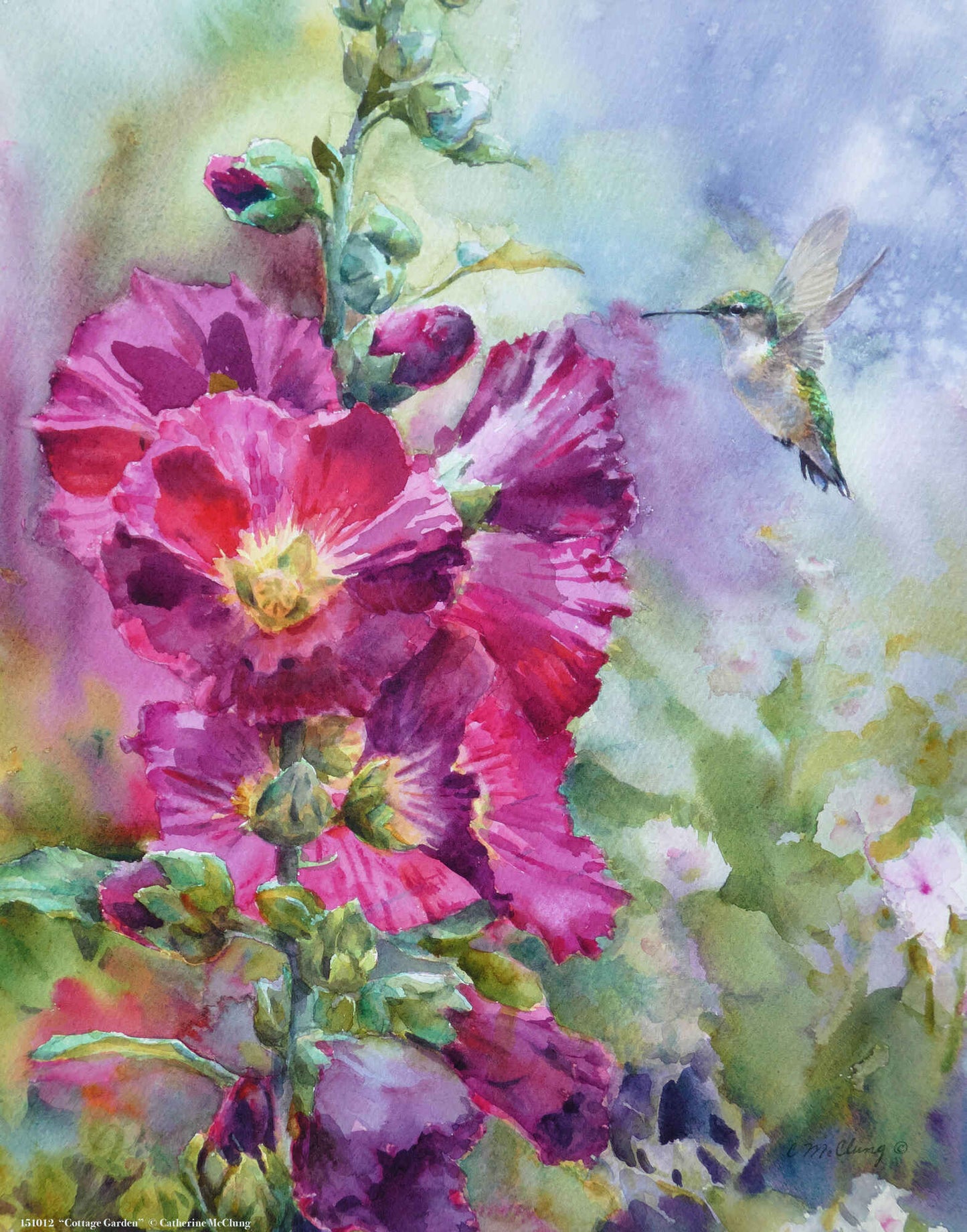 Cottage Garden - Hummingbird -  Art Prints