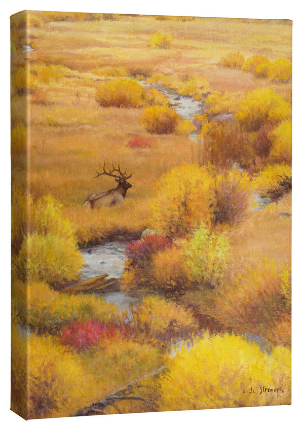 The Old Bull's Last Autumn