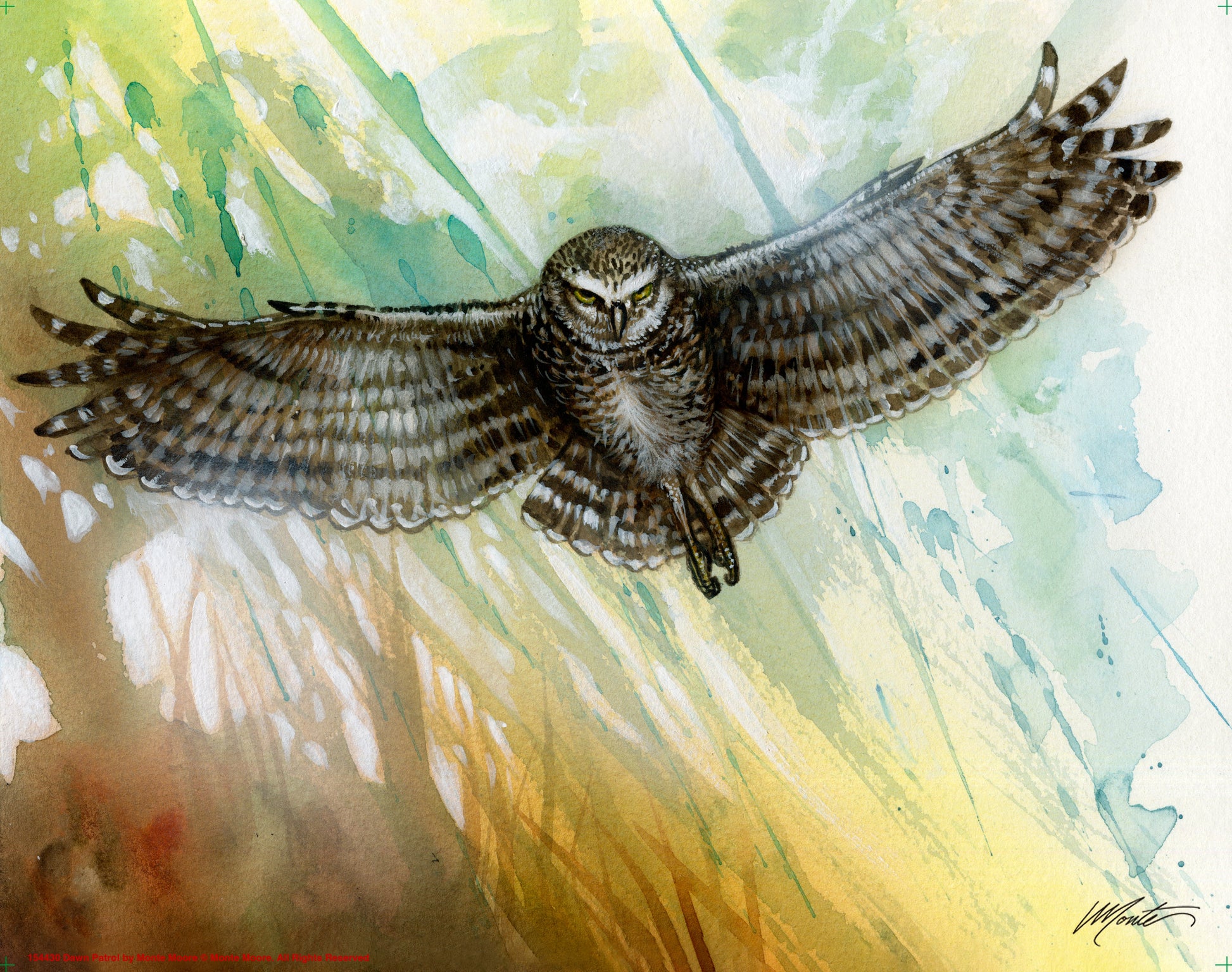 154430_Dawn Patrol_11x14_GFT.jpg