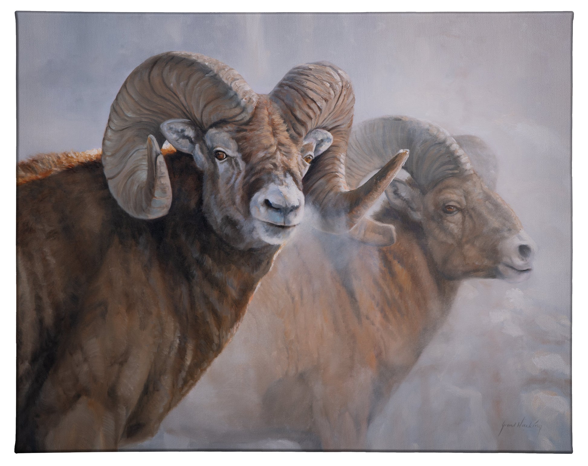 154499_Bighorns in the Mist_24x19_F_CGW.jpg