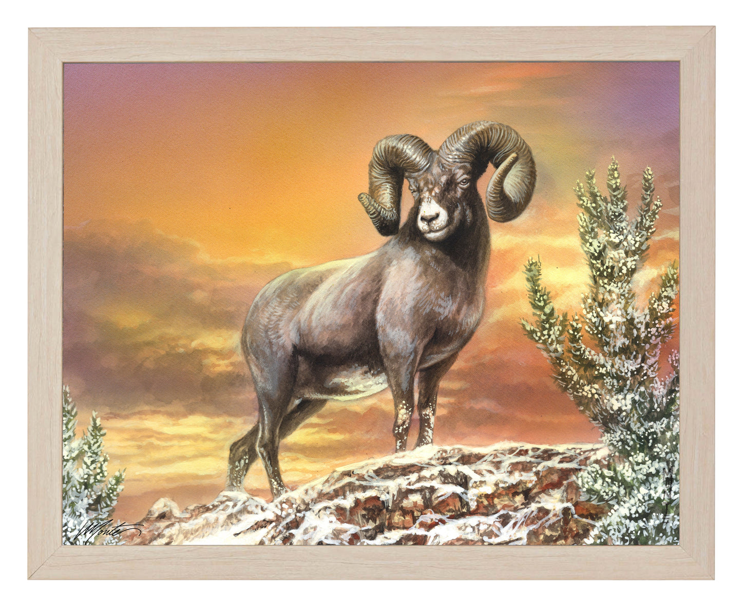 154552_Above the Treetops_11x14_Natural  102644_FRA.jpg