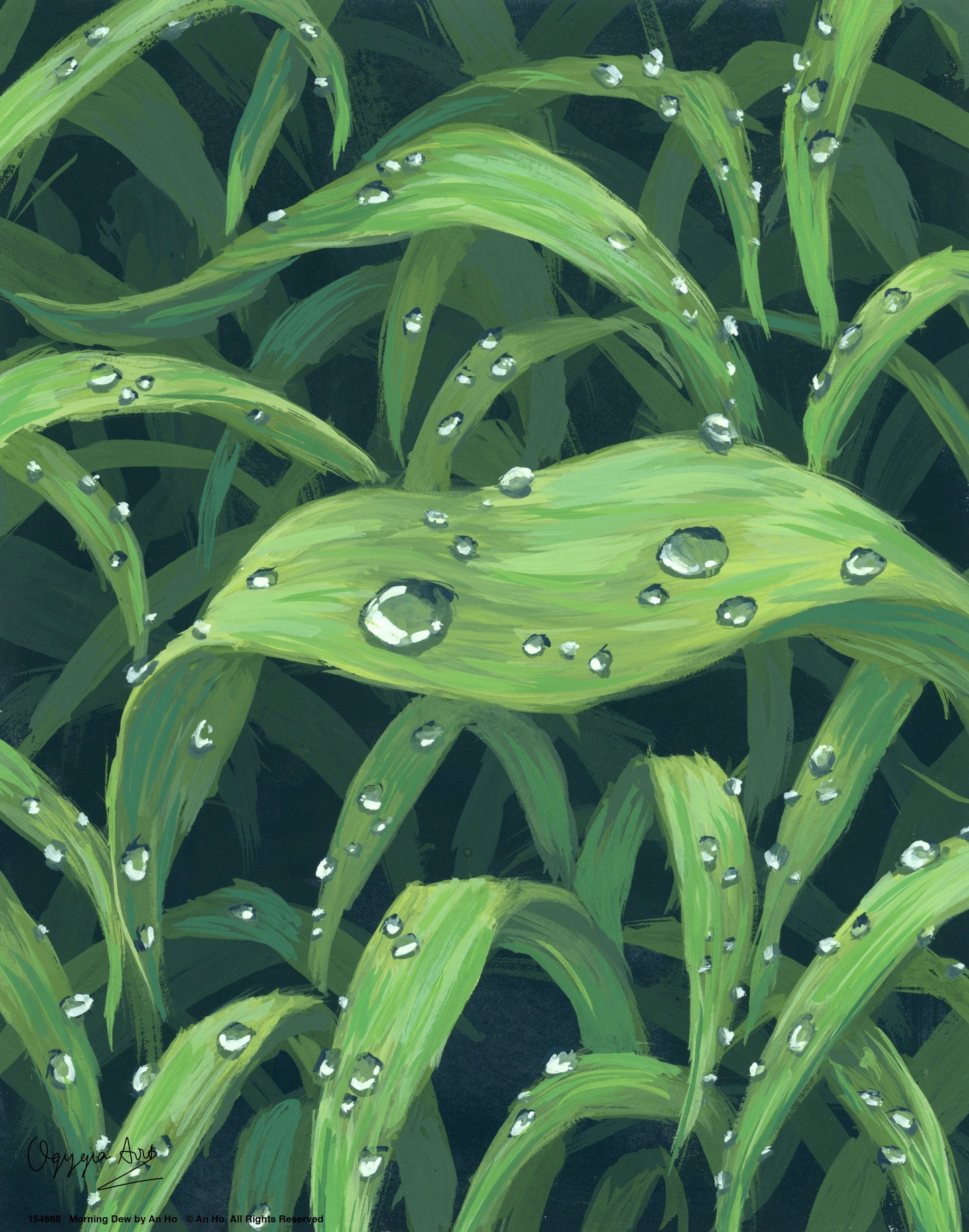 154668_Morning Dew_11x14_GFT.jpg