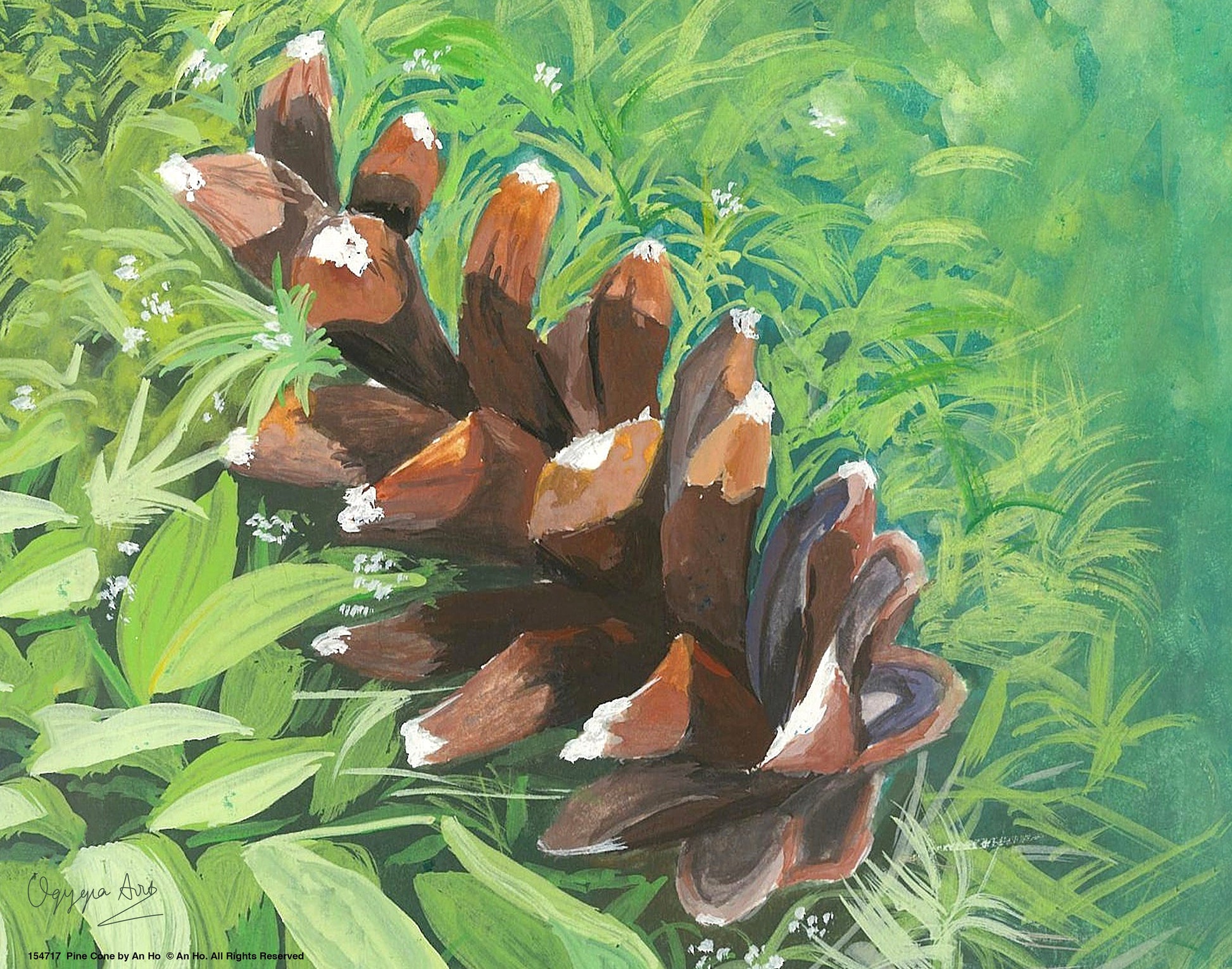 154717_Pine Cone_11x14_GFT.jpg