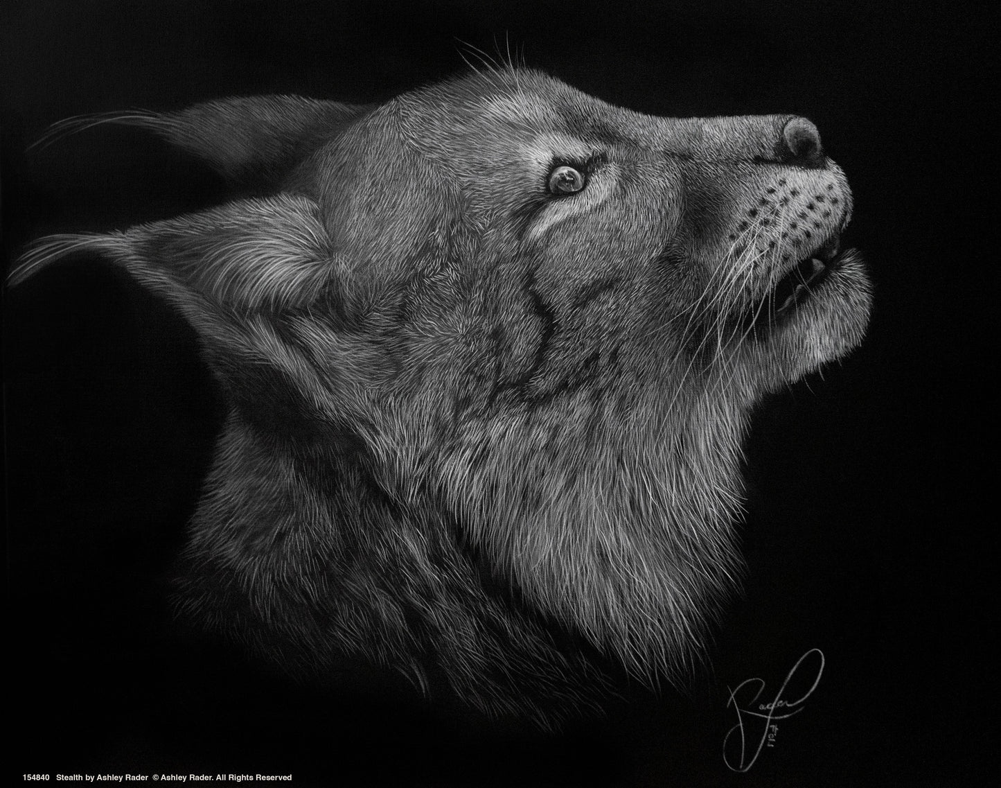 154840_Stealth_11x14_GFT.jpg