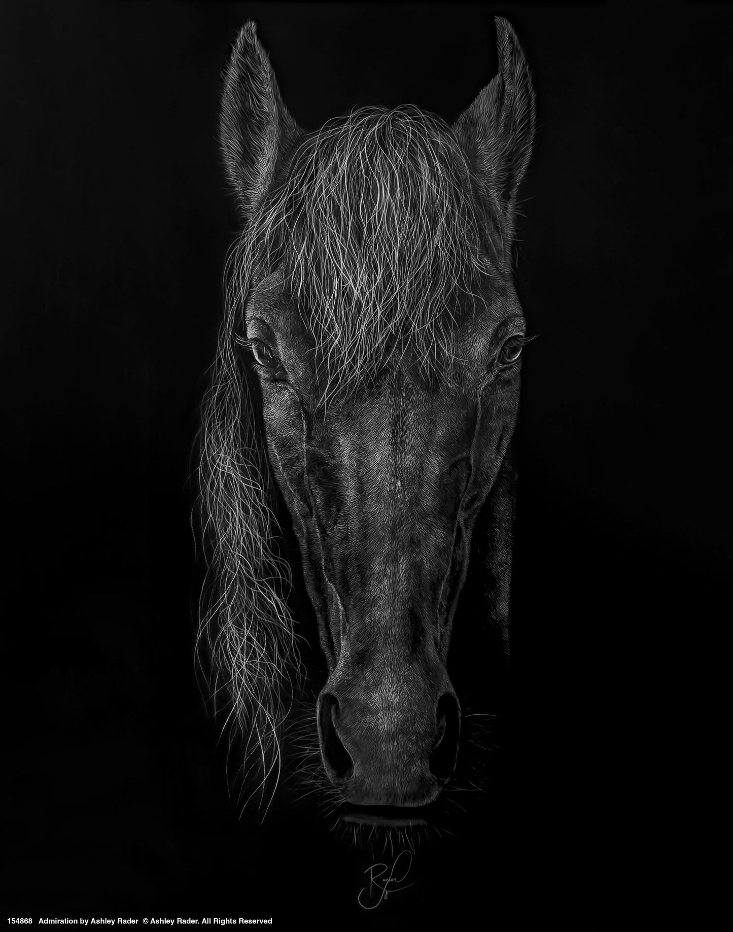 154868_Admiration_11x14_GFT.jpg