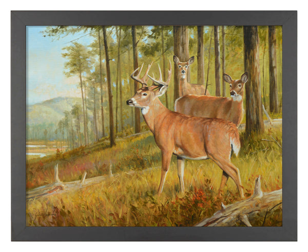 155016_Southern Pines_11x14_FRA Black.jpg