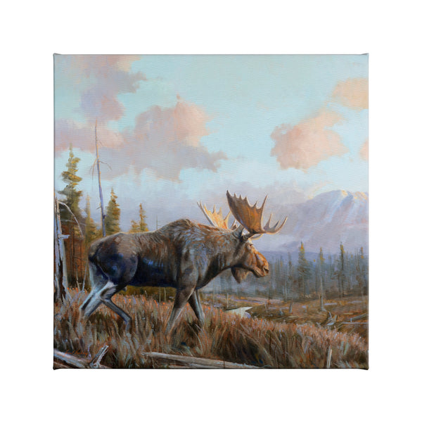 155021_Sunlit Antlers_114x14_F_CGW.jpg