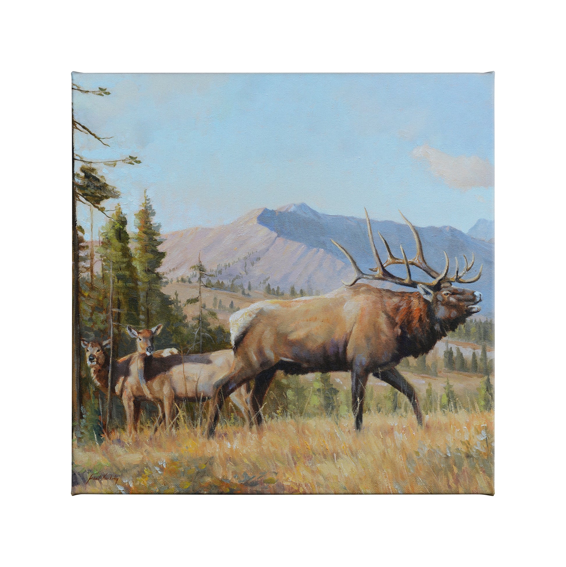 155035_Answering the Call_14x14_F_CGW.jpg