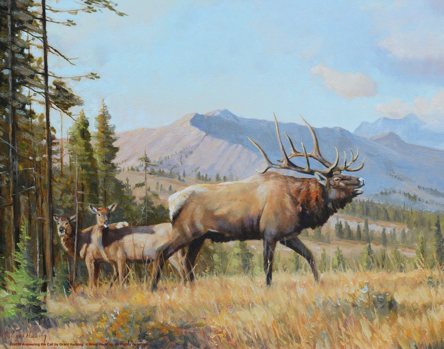 155036_Answering the Call_11x14_GFT.jpg