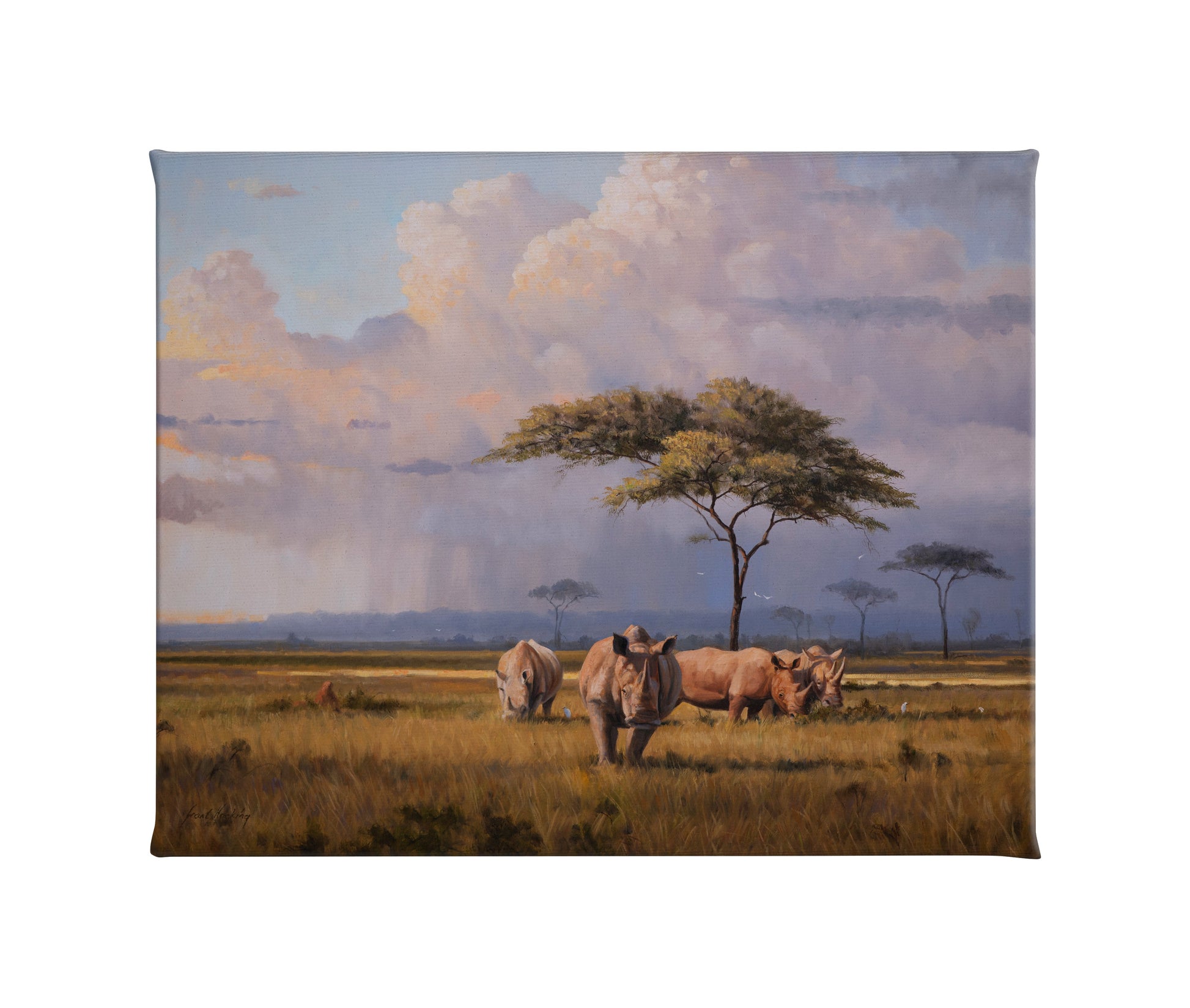 155042_The Plains of Africa_20.5x16_F_CGW (1).jpg