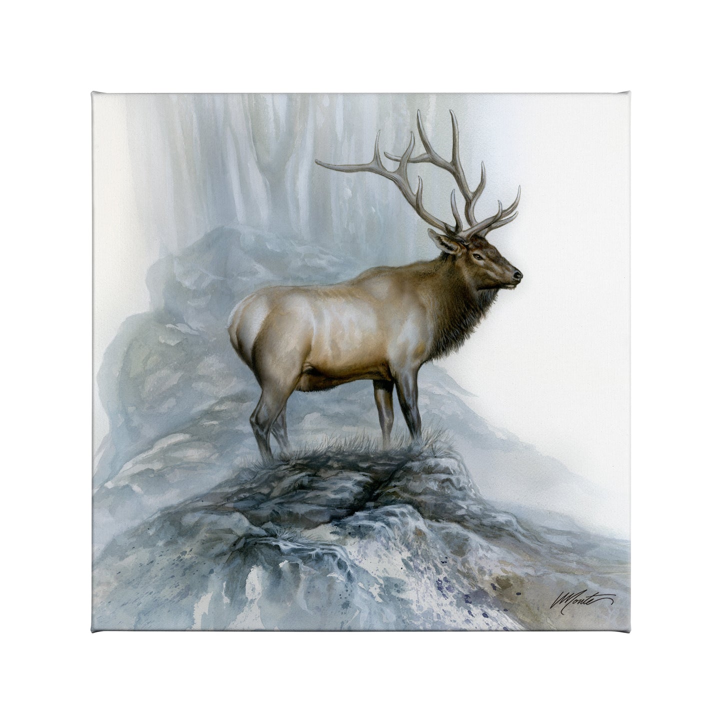 155098_The Highlander_14x14_F_CGW.jpg