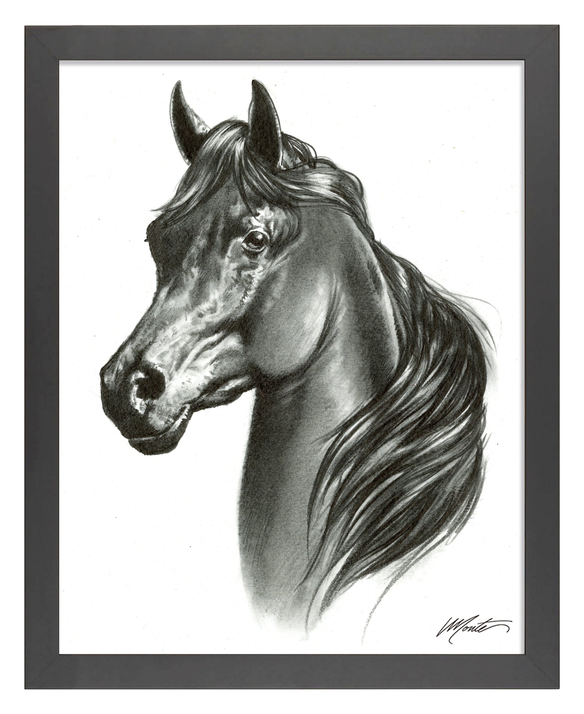 155114_Black Beauty_11x14_FRA_Black.jpg