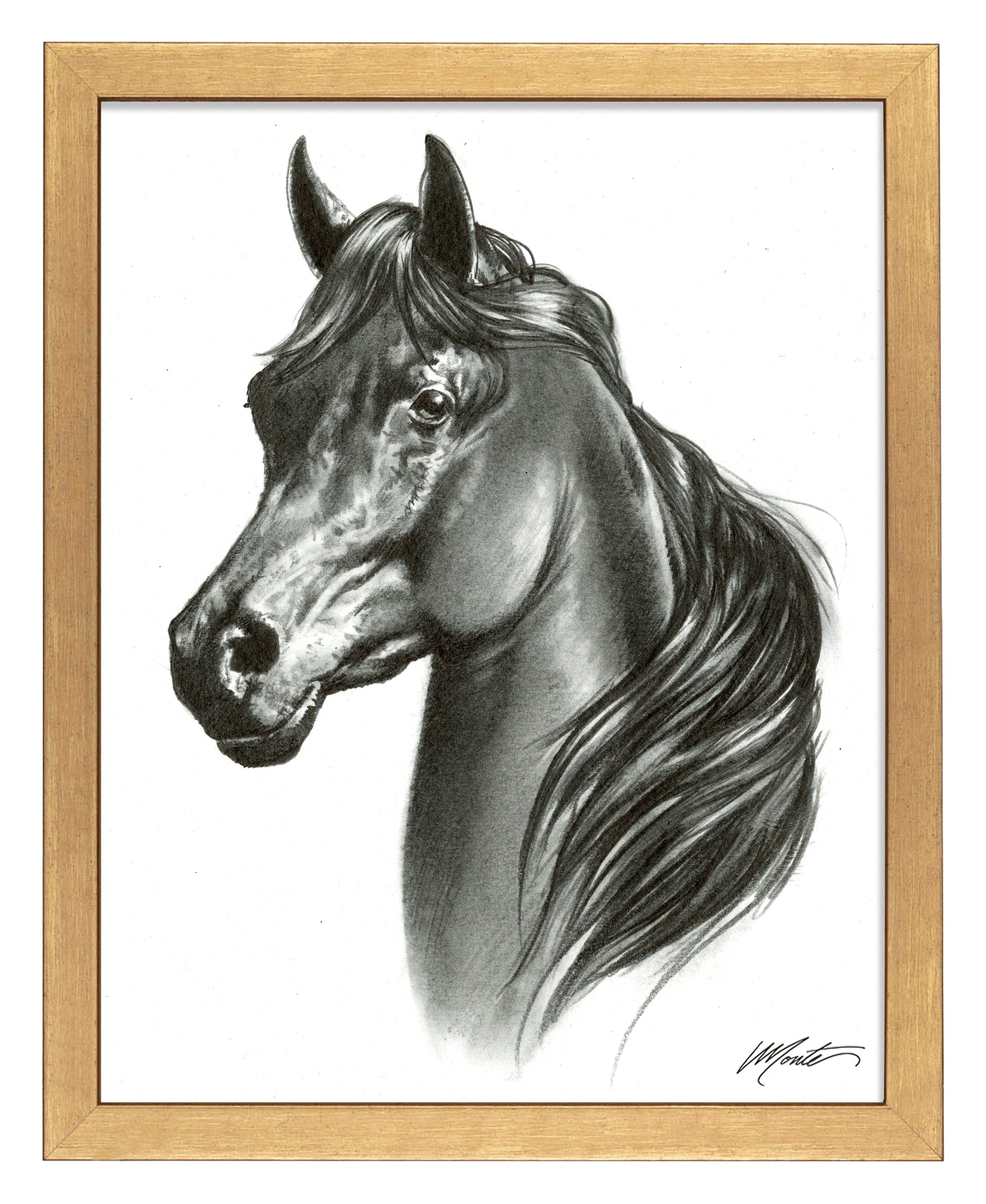 155115_Black Beauty_11x14_FRA_Gold.jpg