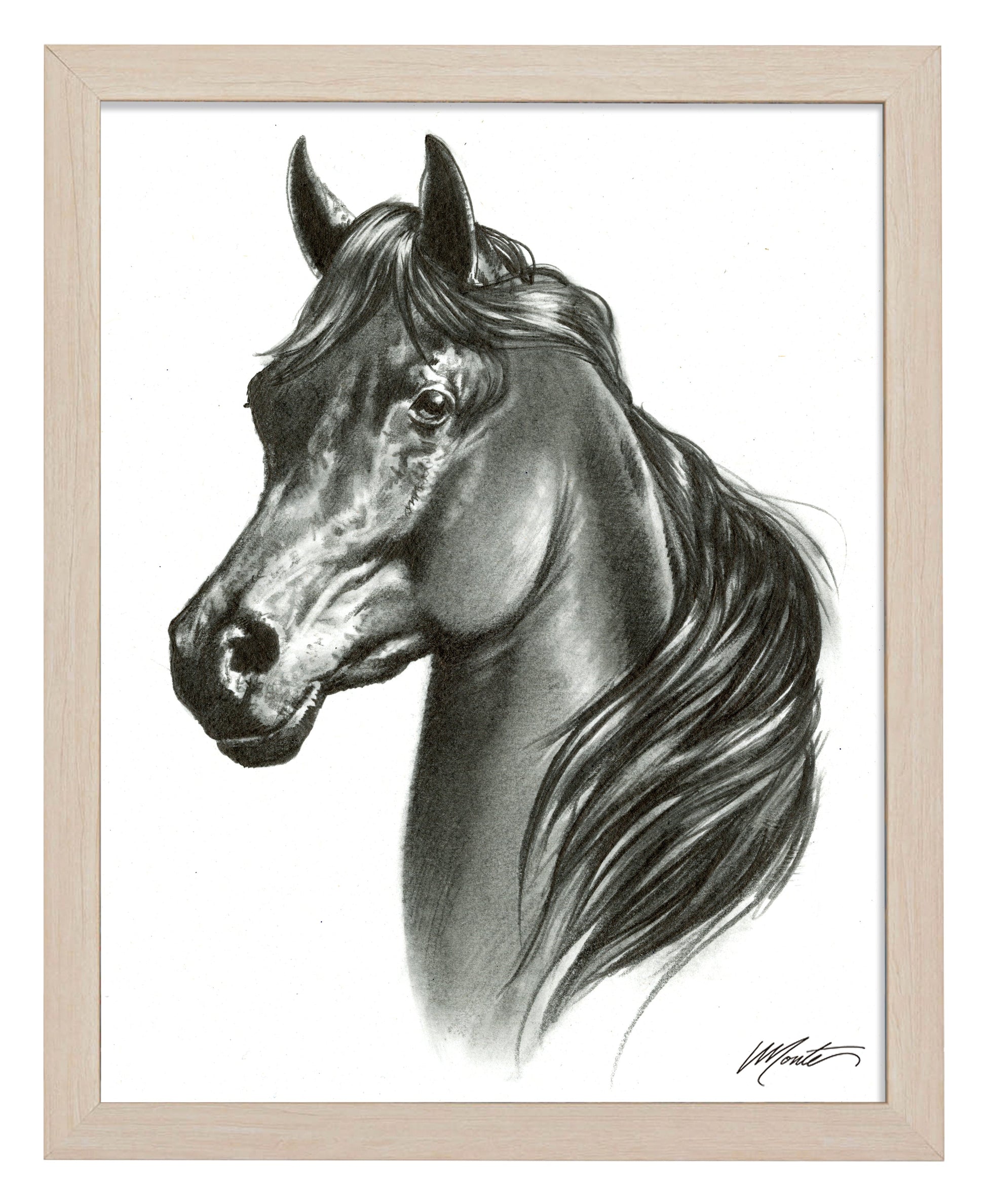 155116_Black Beauty_11x14_FRA_Natural.jpg