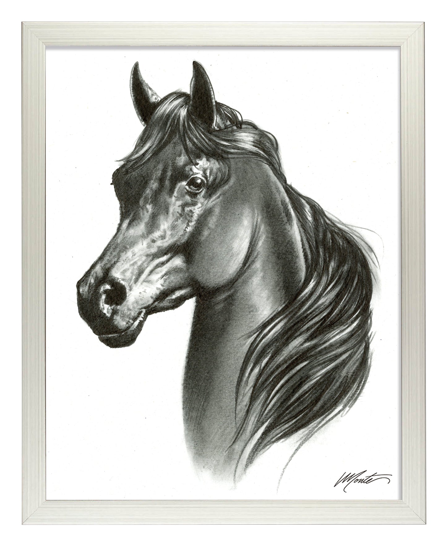 155117_Black Beauty_11x14_FRA_Silver.jpg