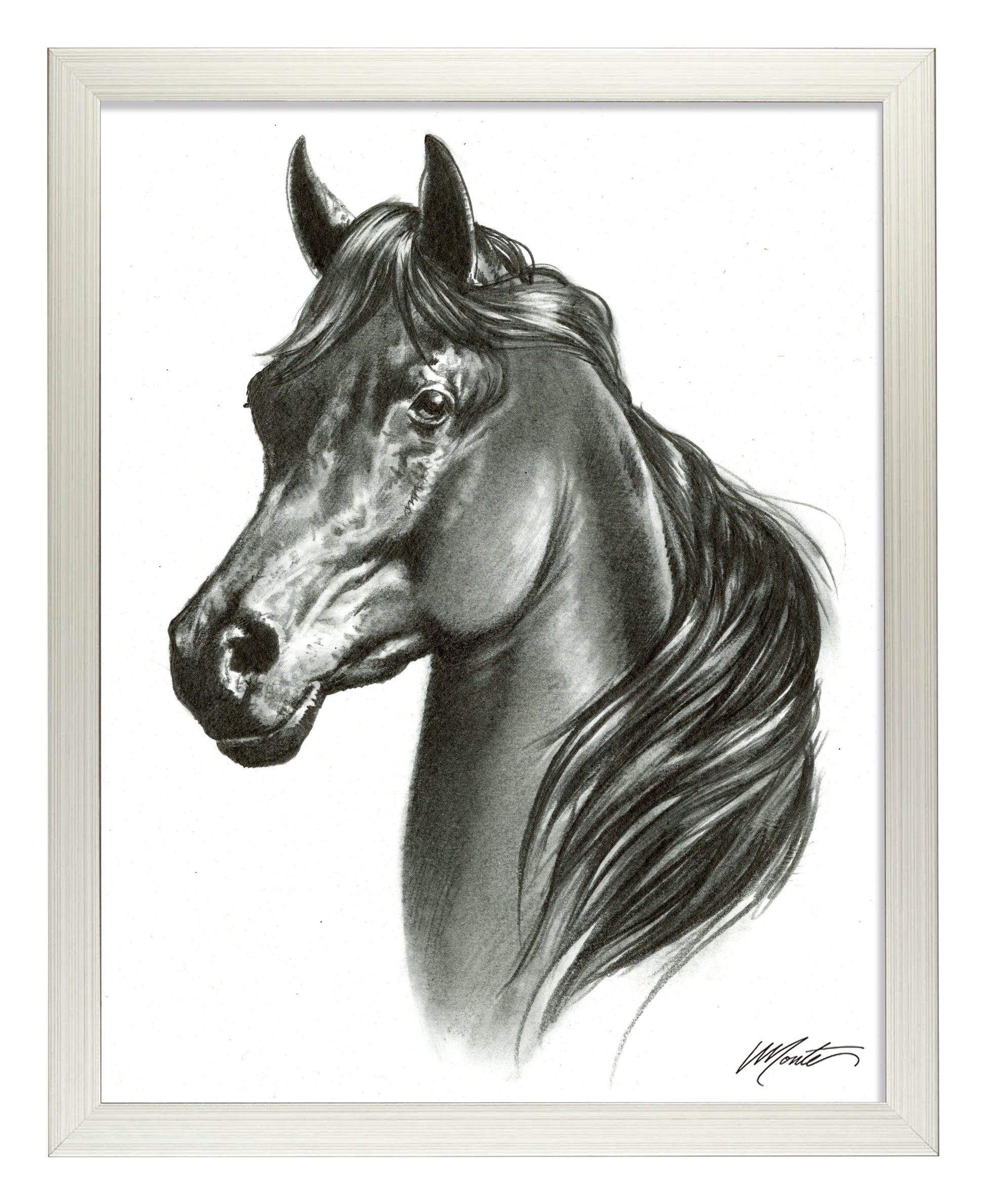 155117_Black Beauty_11x14_FRA_Silver.jpg