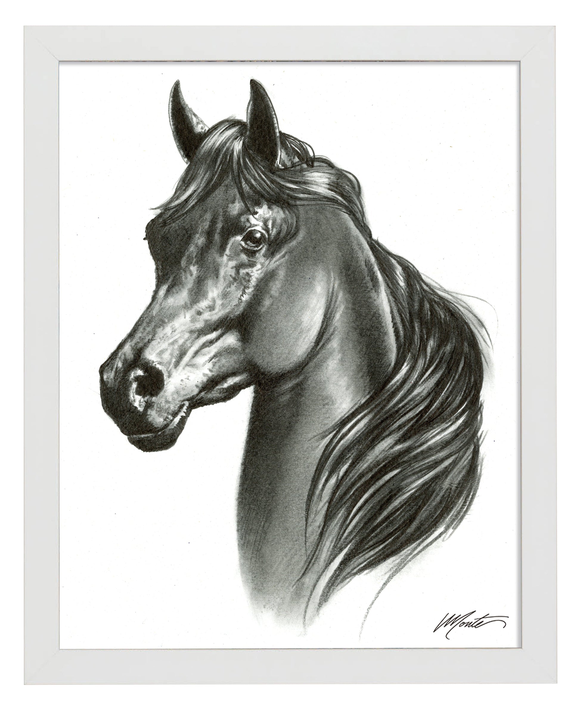 155118_Black Beauty_11x14_FRA_White.jpg