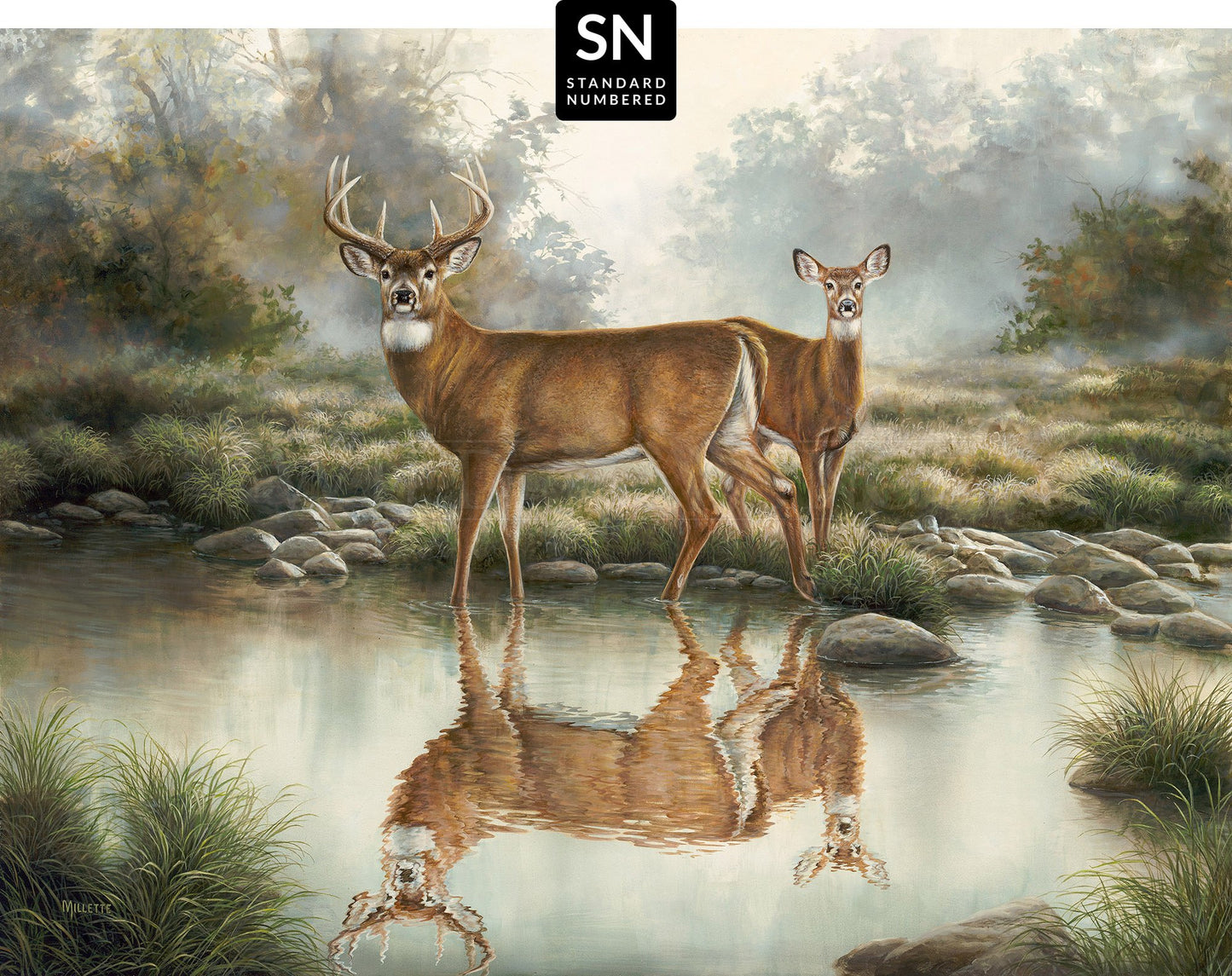 Tranquil Waters—Whitetail Deer; Standard Numbered Edition (SN) Master Artisan Canvas - Wild Wings