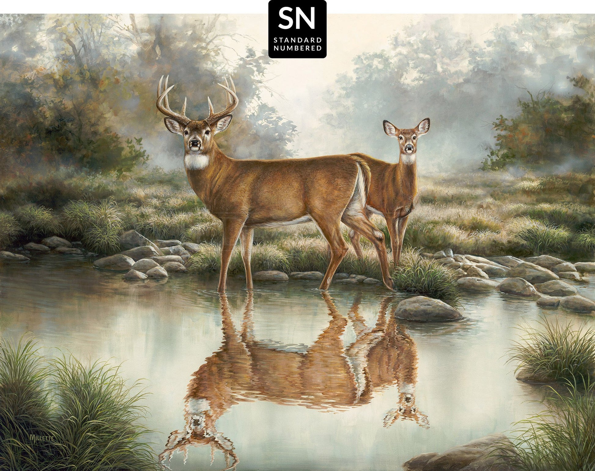 Tranquil Waters—Whitetail Deer; Standard Numbered Edition (SN) Master Artisan Canvas - Wild Wings