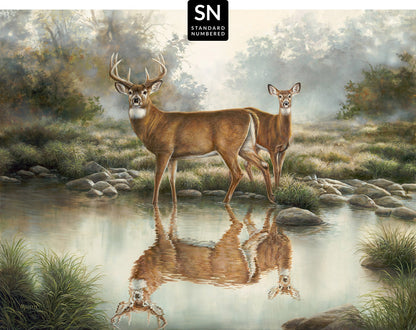 Tranquil Waters—Whitetail Deer; Standard Numbered Edition (SN) Master Artisan Canvas - Wild Wings