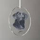 Loyal Companion - Black Lab Oval Glass Ornament - Wild Wings