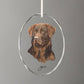 Loyal Companion - Chocolate Lab Oval Glass Ornament - Wild Wings