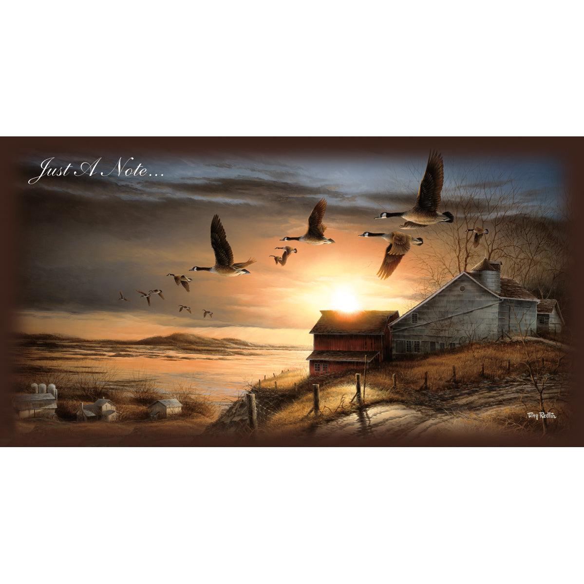 Clear View - Canada Geese Horizontal Note Cards - Wild Wings