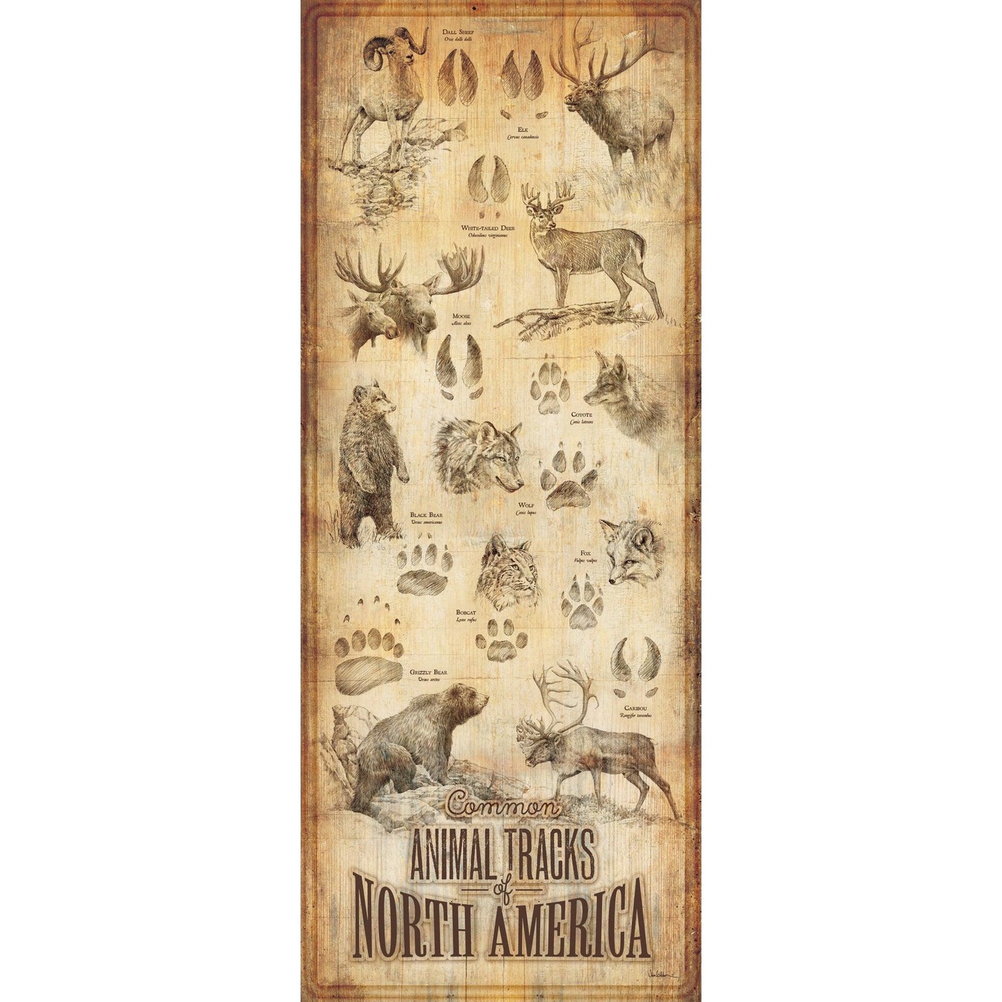 Animal Tracks of North America 12" x 30" Wood Sign - Wild Wings